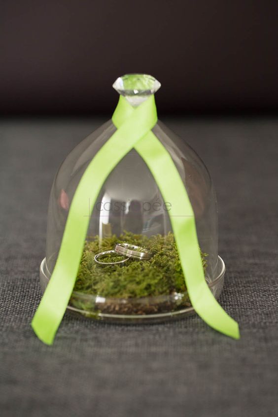 porte alliance mini terrarium