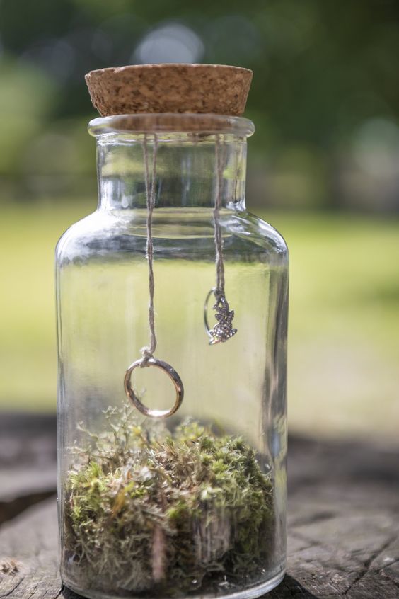 porte alliance mini terrarium